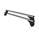 Dakdragers Tesla Model Y 2020>