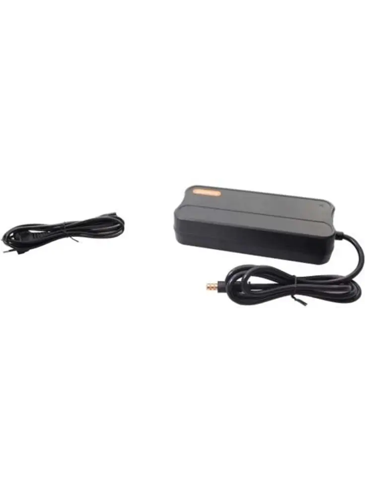 Fietsacculader   43V