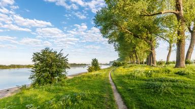 nederland_gelderland_ooijpolder_bisonbaai_wandelpad_fietspad_waal_rivier_shutterstock_645886348
