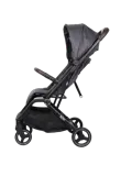 Cloud Go - Buggy