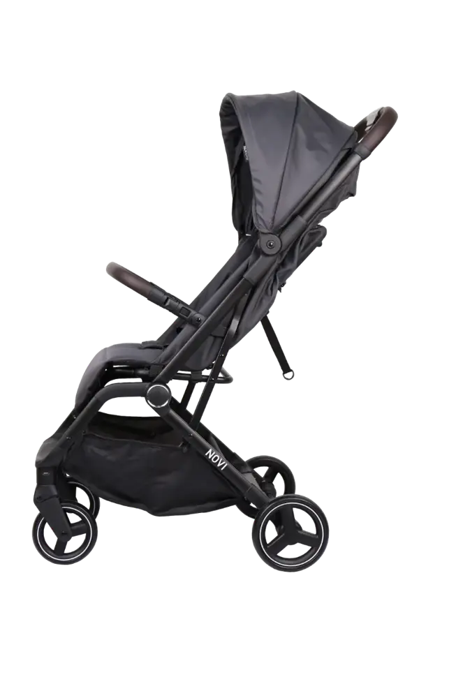 Cloud Go - Buggy