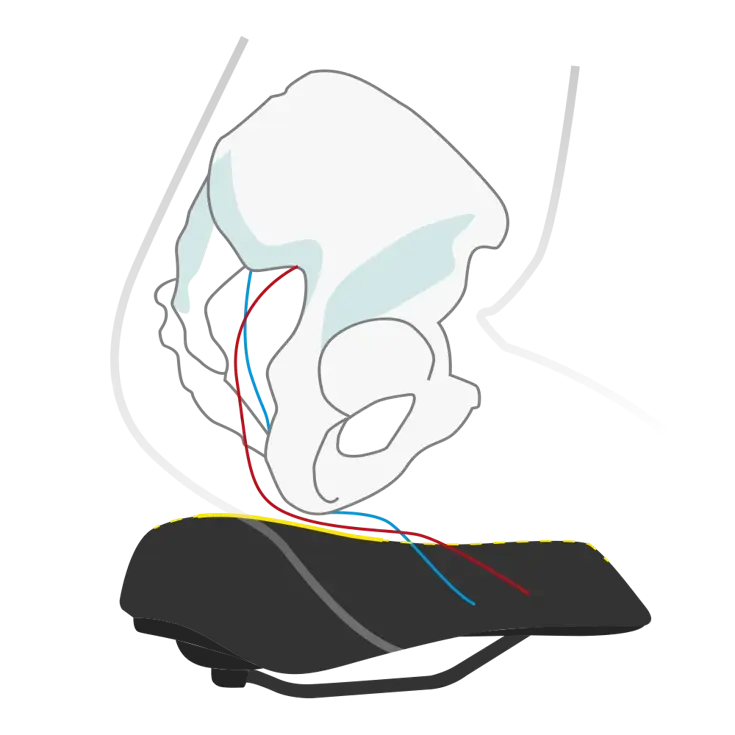 Wittkop Fietszadel Twin Medicus 3.0