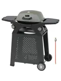 Gas BBQ – 2 Branders
