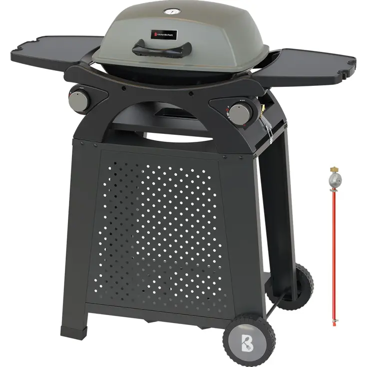 Gas BBQ – 2 Branders