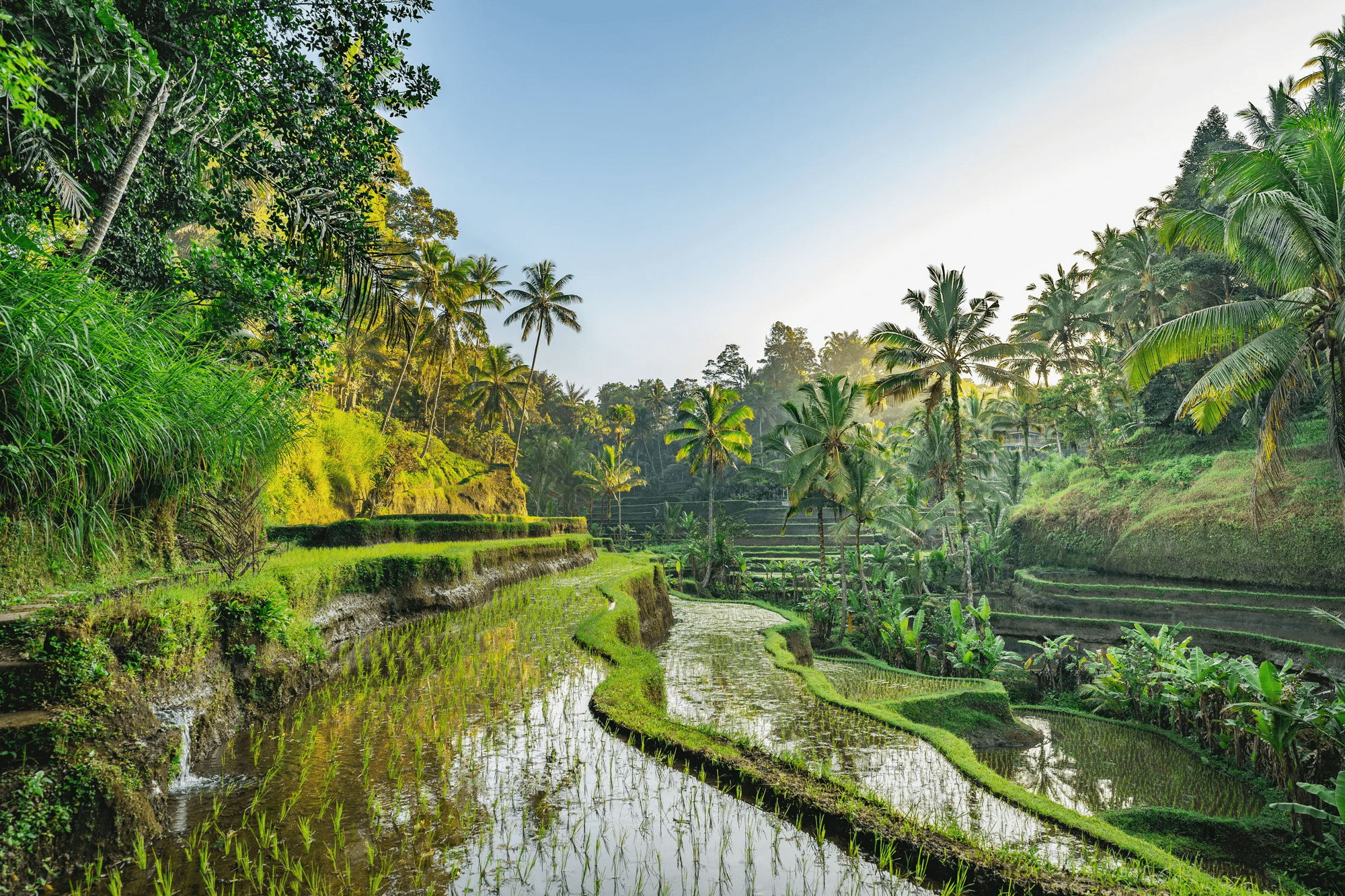 15-daagse privérondreis Bali met privéchauffeur afbeelding