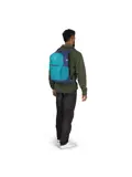 Osprey Daylite Plus blue spikemoss/alkaline