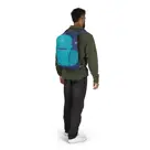 Osprey Daylite Plus blue spikemoss/alkaline