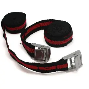 Spanbanden - 2 stuks - 2,5 meter