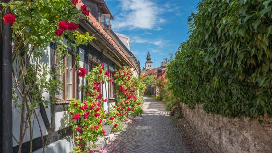 zweden_gotlands-län_visby_middeleeuws-steegje_huizen_shutterstock