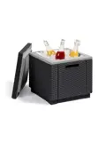Allibert Ice Cube Koelbox - 42x42x41cm