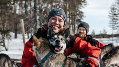Lapland Safaris husky safari