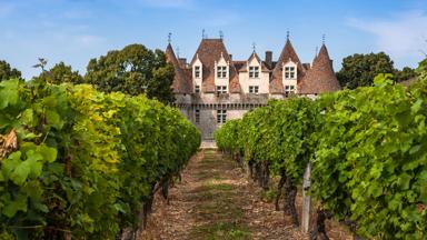 frankrijk_nouvelle-aquitaine_dordogne_monbazillac_chateau-de-monbazillac_kasteel_wijngaard_shutterstock_169184738