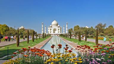 india_agra_taj-mahal_bloem_b.jpg