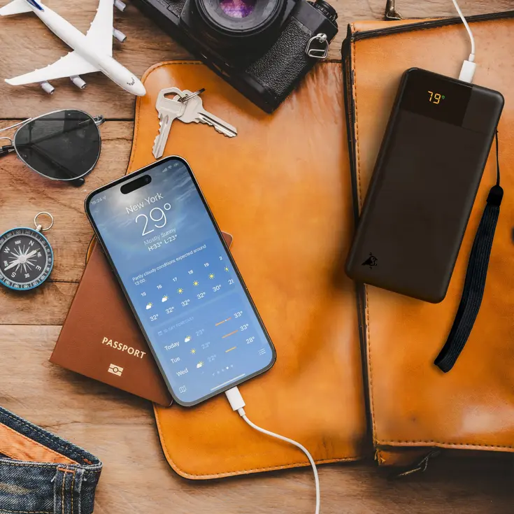 Powerbank Powerbird B10 - 10000mAh