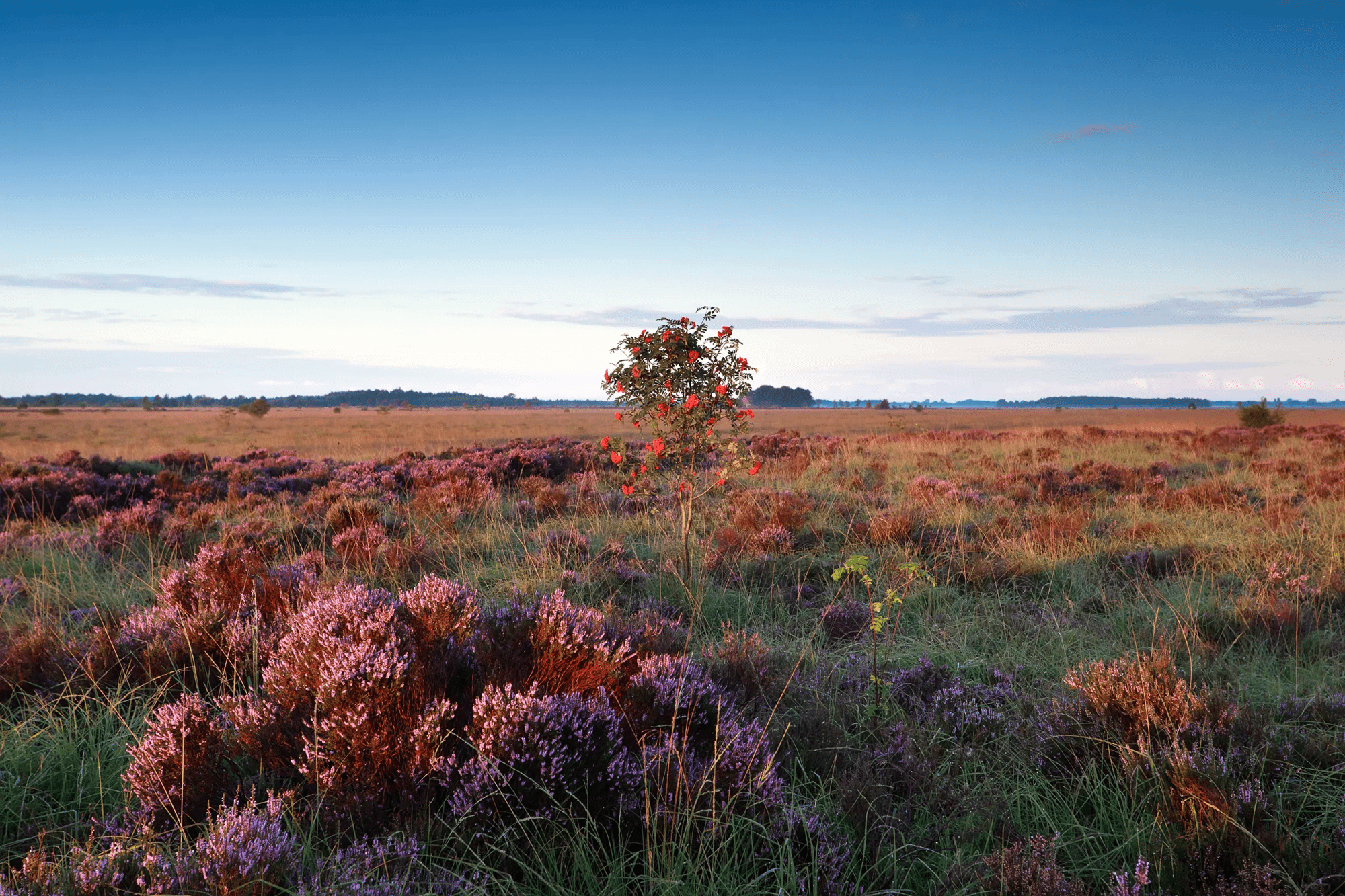 Rondreis 5-daagse fietsrondreis door de Kop van Drenthe in Diversen (Nederland, Nederland)