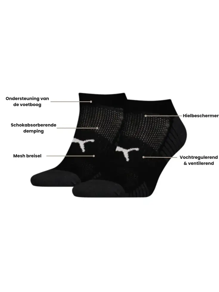 Cushioned - 2 paar - Sneakersokken