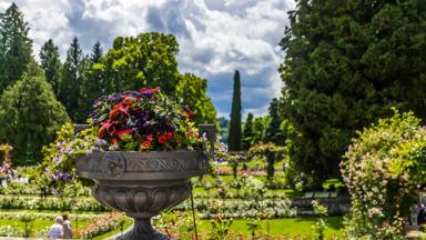 duitsland_bodensee_mainau_fietsvakantie-bodensee_bloemen_tuin_kleur_shutterstock