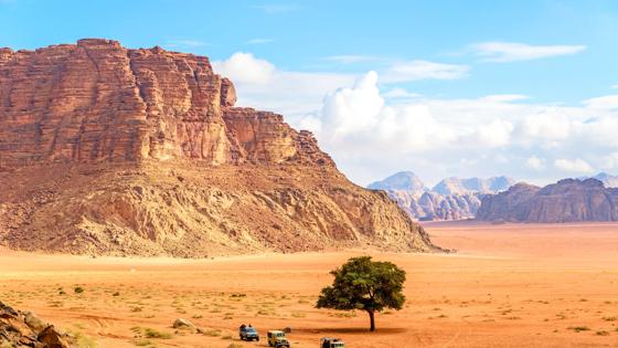 jordanie_wadi rum_jeeps in woestijn_b