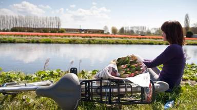 Beeld kan niet gebruikt worden ivm copyright onbekend