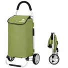 Boodschappenwagen Opvouwbaar