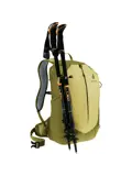 Deuter AC Lite 17 linden-cactus