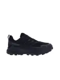 Roclite GTX - Wandelschoen heren