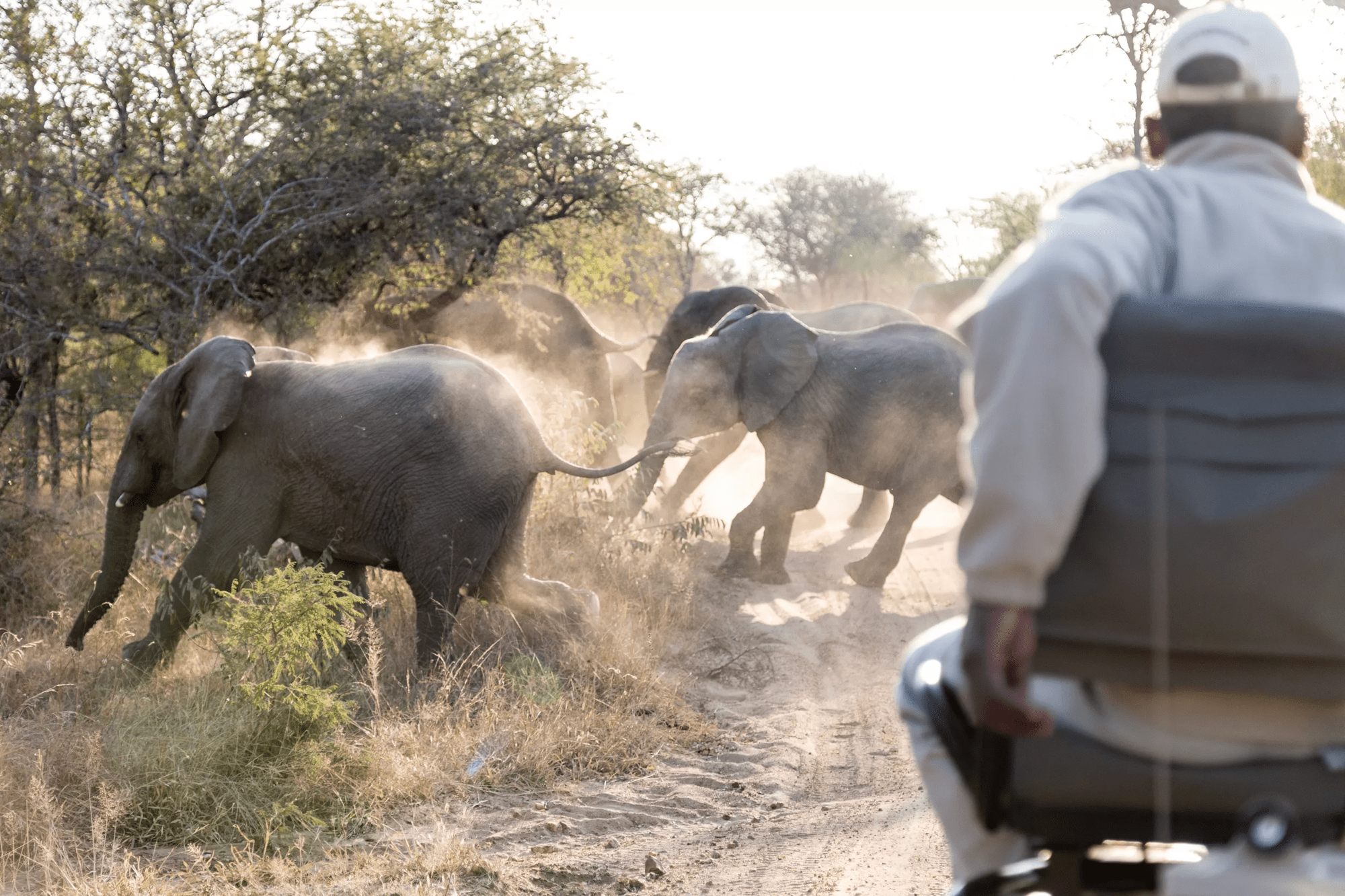 16-daagse privérondreis Grandioos Zuid-Afrika met huurauto - vanaf april 2025 afbeelding