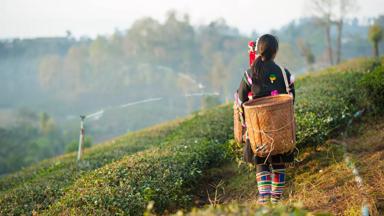 thailand_chiang-rai_bergstam_akha_kind-met-mand_b