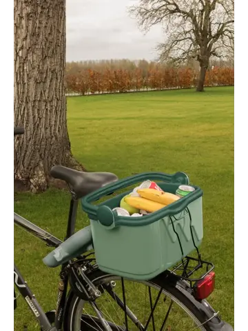 Curver Koelbox 10L - 46,2x22.6x21.3cm - Groen