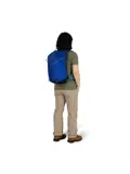 Osprey Sportlite 20 pine leaf green