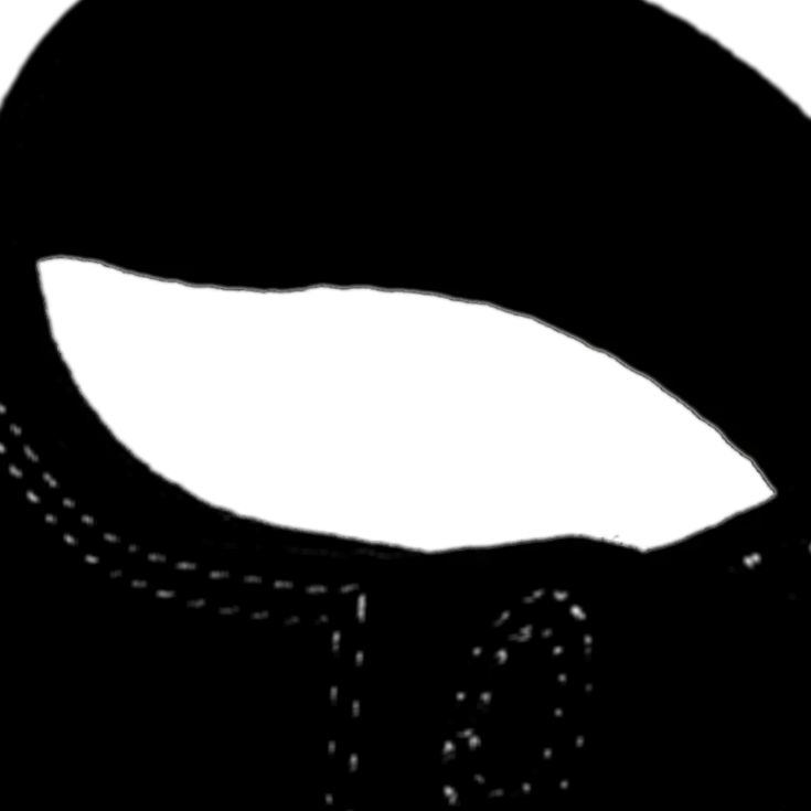 Newport - Wandelschoenen - Heren