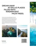 Palm Tree Destinations