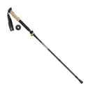 Highlander wandelstok Skye FZ Carbon
