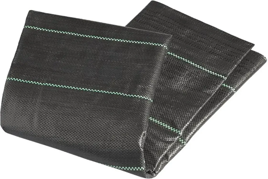 ProPlus Grondzeil - 2.5x3m - Tentzeil
