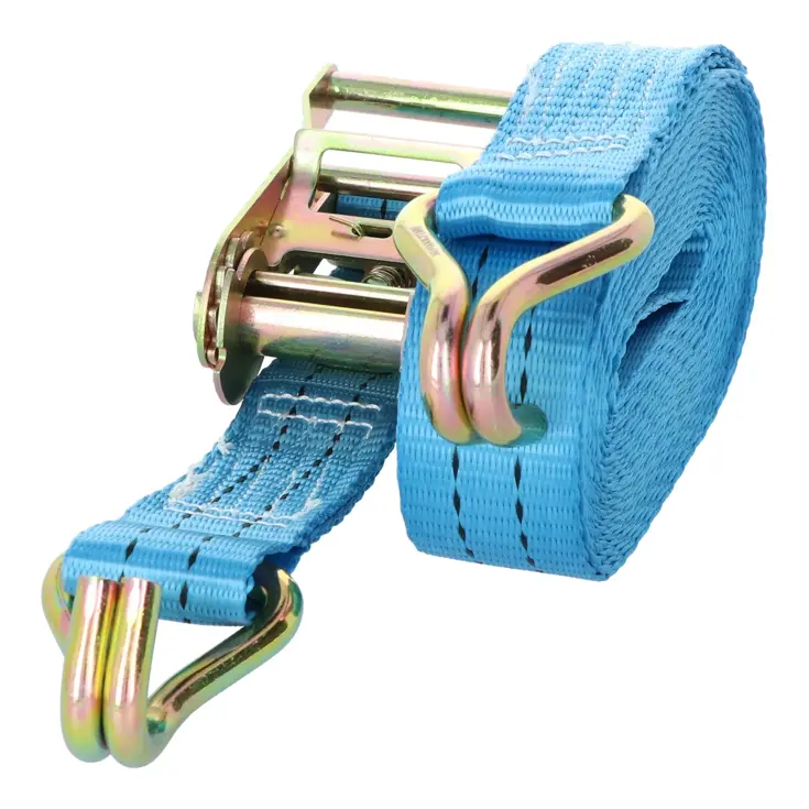 Carpoint Spanband met Ratel en Haken 5 Meter