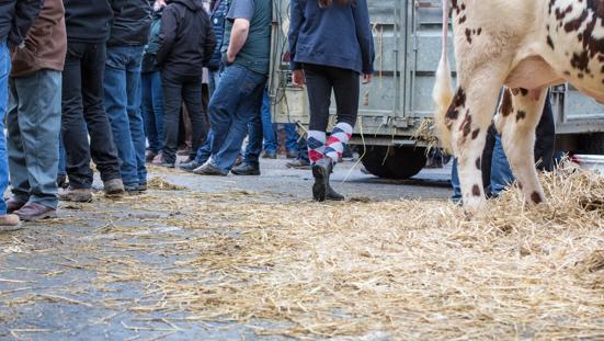 Boeren op een weg