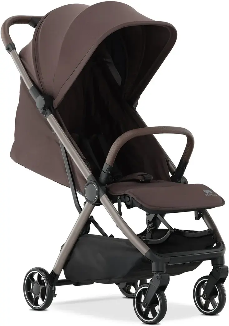 Air Buggy - Met transporttas - Vliegtuigbuggy