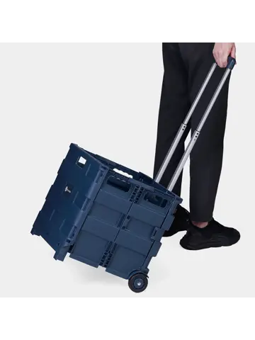 Boodschappenkrat - 50L - Met Deksel