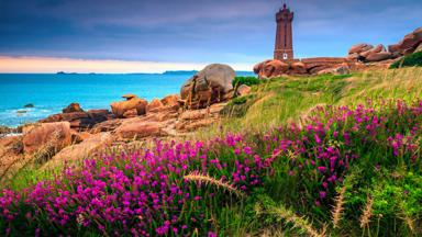 frankrijk_bretagne_perros-guirec_vakantie-bretagne_vuurtoren_bloem_kust_shutterstock