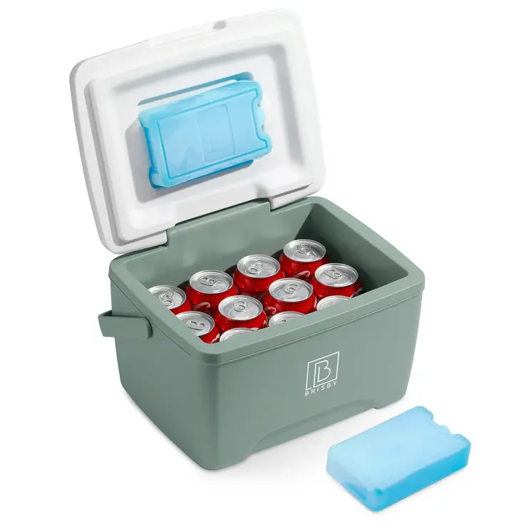 Koelbox - Lunchbox - 8L