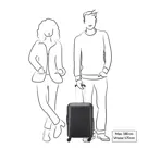 Delsey Segur koffer / 35 L