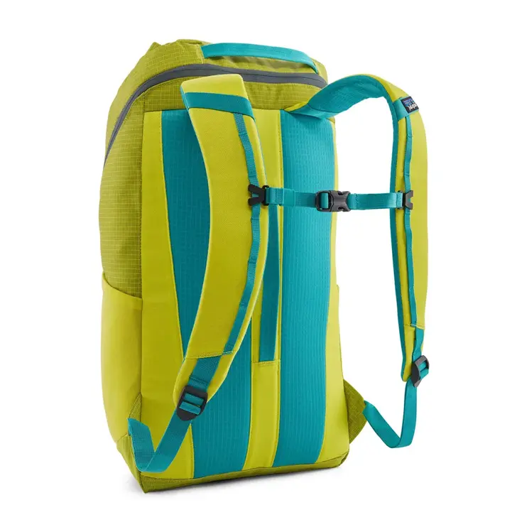 Patagonia Black Hole pack 25l