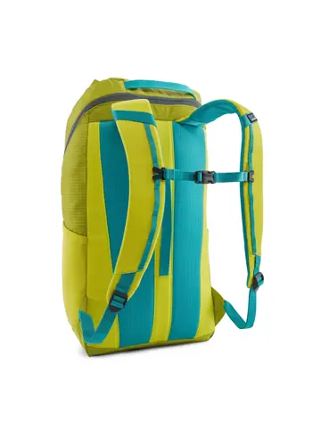 Patagonia Black Hole pack 25l