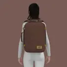 CabinZero Classic Reistas / 36 L