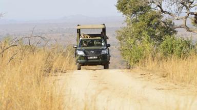 zuid-afrika_mpumalanga_kruger-nationaal-park_safari_1_f