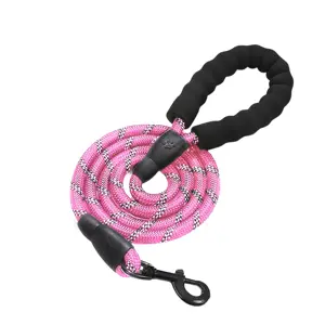 Reflecterende Hondenriem 3m