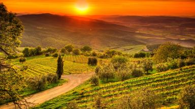 Beautiful landscape with vineyards in Tuscany