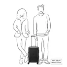 Delsey Turenne 2.0 koffer / 36 L