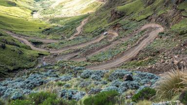 Fox_zuid-afrika_drakensbergen_sanipas_zigzagweg_janneke-kaim-naturescanner