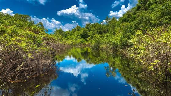 brazilie_amazone_rivier_b.jpg